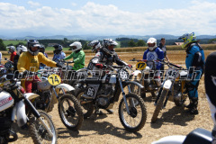 MX_Zuckenriet_2019_7068