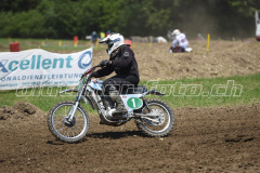 MX_Zuckenriet_2019_7129