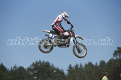 MX_Zuckenriet_2019_7208