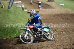 MX_Zuckenriet_2019_7227