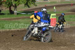 MX_Zuckenriet_2019_7340