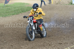 MX_Zuckenriet_2019_7381