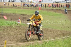 MX_Zuckenriet_2021_DSC_9353