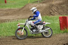 MX_Zuckenriet_2021_DSC_9366