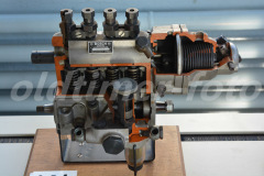 Saurer_Gant_2015_2731