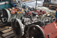 Saurer_Gant_2015_2843