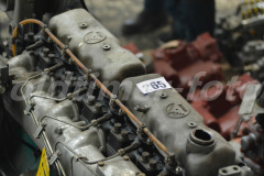 Saurer_Gant_2015_2919