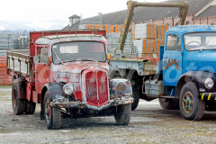 Saurer_Gant_2015_2947