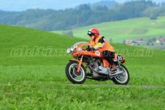 Seebodenalp_2017_7856