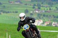 Seebodenalp_2017_7887