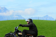 Seebodenalp_2017_7988