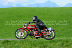 Seebodenalp_2017_8045