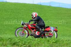 Seebodenalp_2017_8090