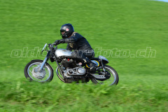 Seebodenalp_2017_8130