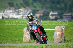 Seebodenalp_2017_8293