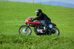 Seebodenalp_2017_8315