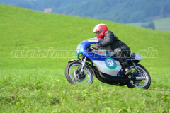 Seebodenalp_2017_8354