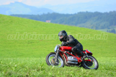 Seebodenalp_2017_8390