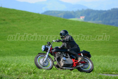 Seebodenalp_2017_8418