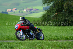 Seebodenalp_2017_8435