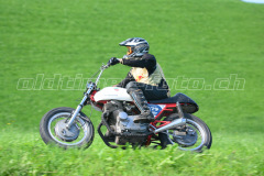 Seebodenalp_2017_8452