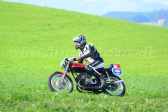 Seebodenalp_2017_8458