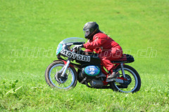 Seebodenalp_2017_8608