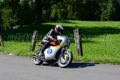 Seebodenalp_2017_9143