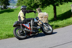 Seebodenalp_2017_9348