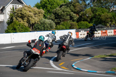 Wanganui_2019_DSC_6271