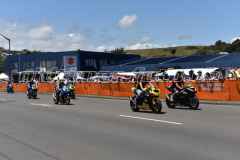 Wanganui_2019_DSC_6855