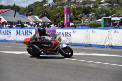 Wanganui_2019_DSC_6928