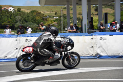 Wanganui_2019_DSC_6931