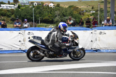 Wanganui_2019_DSC_6943