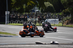 Wanganui_2019_DSC_6611