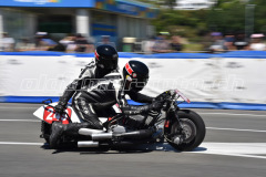 Wanganui_2019_DSC_6977