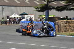 Wanganui_2019_DSC_7104