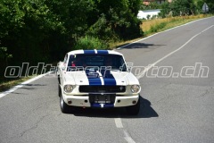 VSF_2023_0596