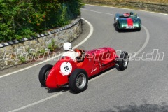 VSF_2023_0785