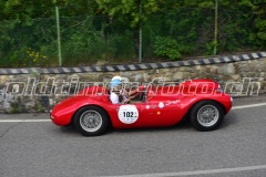 VSF_2023_0810