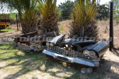 Wijnland_Automuseum_3086