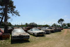 Wijnland_Automuseum_3127