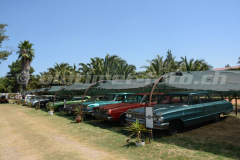 Wijnland_Automuseum_3138